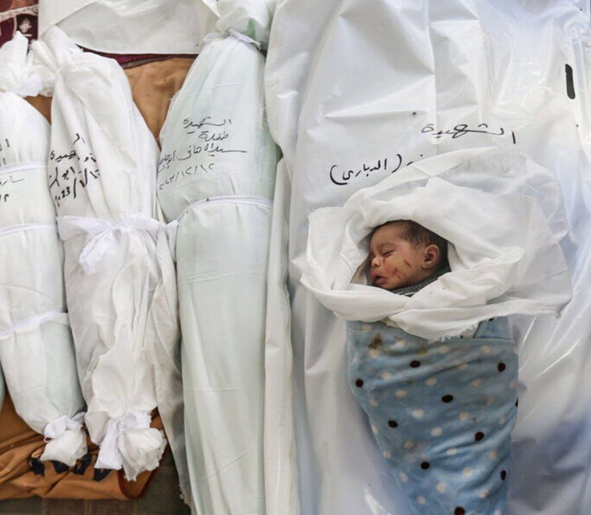 آمار شهدای غزه به ۳۵ هزار و ۲۳۳ نفر رسید