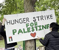 بعد-طلابهم-أساتذة-في-جامعة-برنستون-يضربون-عن-الطعام-رفضاً-للعدوان-على-غزة