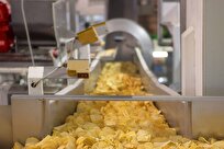 Scientists Spin Food Processing Waste into “Gold”