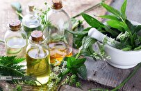 Knowledge-Based Company in Iran Produces Herbal Shampoo with 95% Purity
