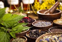 Iranian Scientists Study 20 Herbal Plants for Application as Natural Compounds in Treatment of Infection