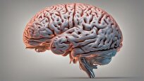 سمپوزیوم مطالعات مغز (ایبرو) برگزار می‌شود