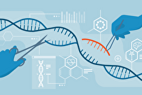 Princeton Researchers Develop More Precise Gene-Editing Tool