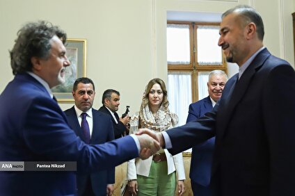 دیدار رئیس گروه دوستی پارلمانی ترکیه با حسین امیرعبداللهیان