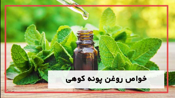 فواید روغن پونه کوهی