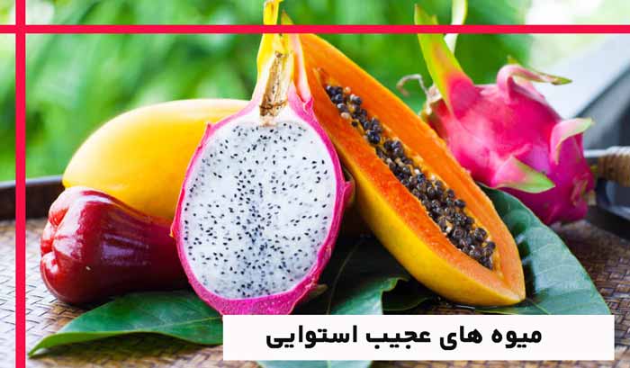 میوه های استوایی