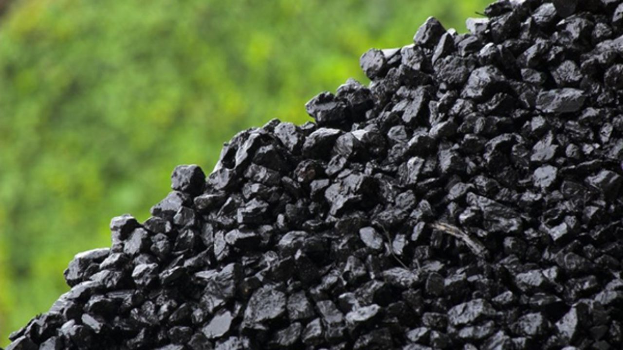کنسانتره زغال سنگ