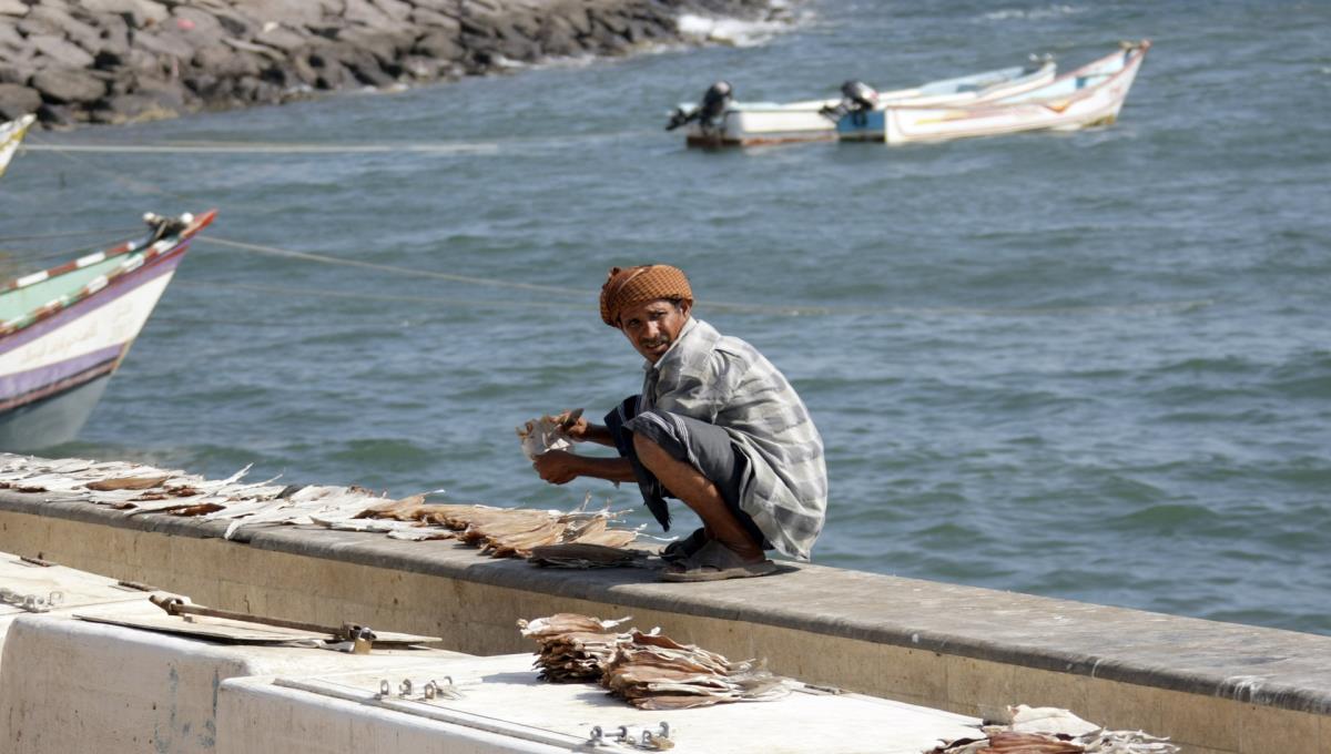 الصيادين-في-اليمن.jpg