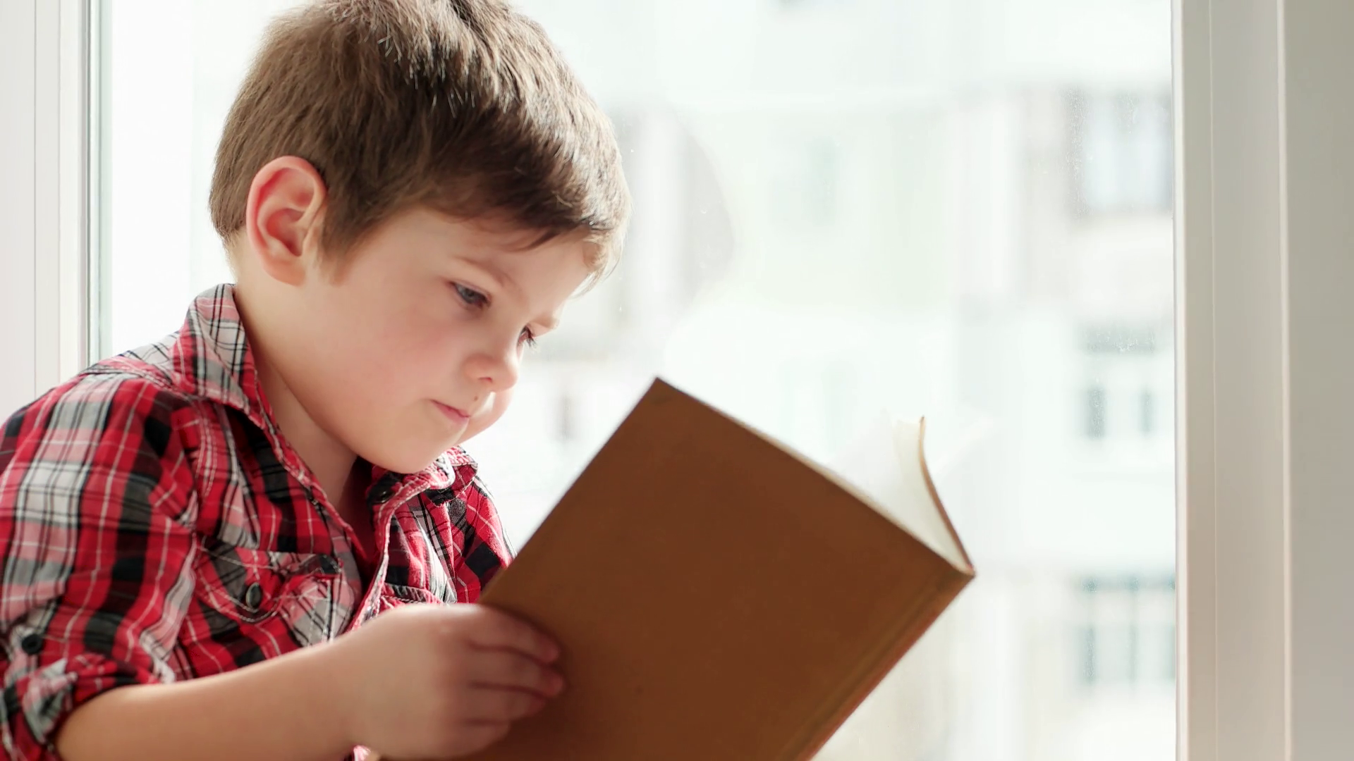 videoblocks-kid-holding-book-smart-boy-flipping-pages-of-schoolbook-little-child-closeup-portrait-interested-kid-reading-book-boy-looking-for-his-favorite-story-turning-page-after-page-of-printed-edition_hgc-f82n.png