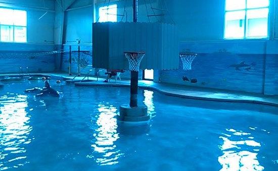 water-basketball.jpg