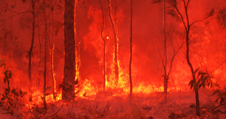 australian-fires-could-threaten-millions-globally-768x403.png