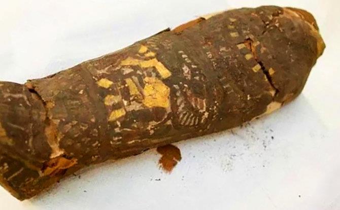 AncientEgyptianHawkMummy_1024.jpg