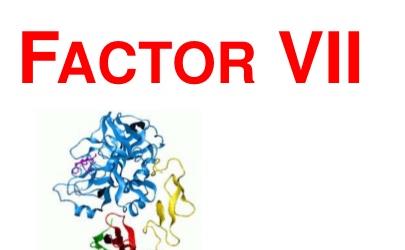 clotting-factor-vii-1-638.jpg