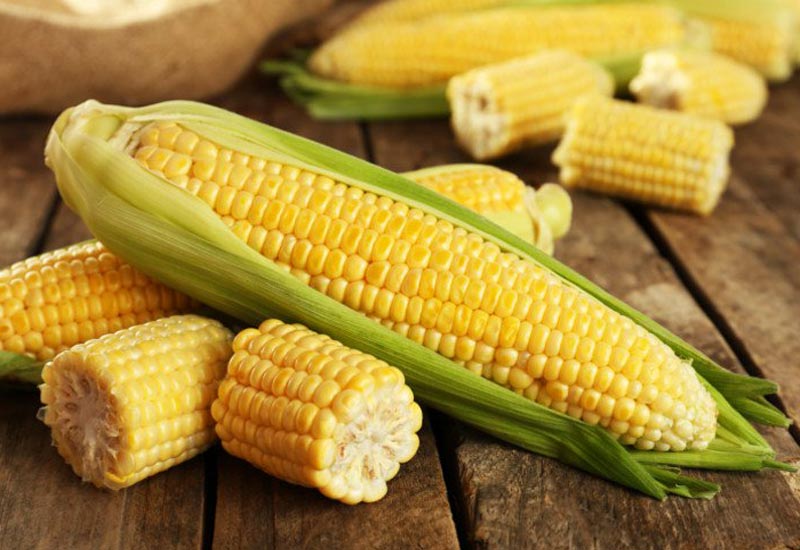 corn.jpg