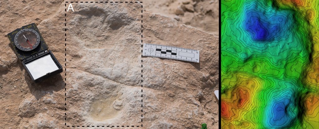 ancient_human_footprints_in_saudi_arabia_cover_1024.jpg