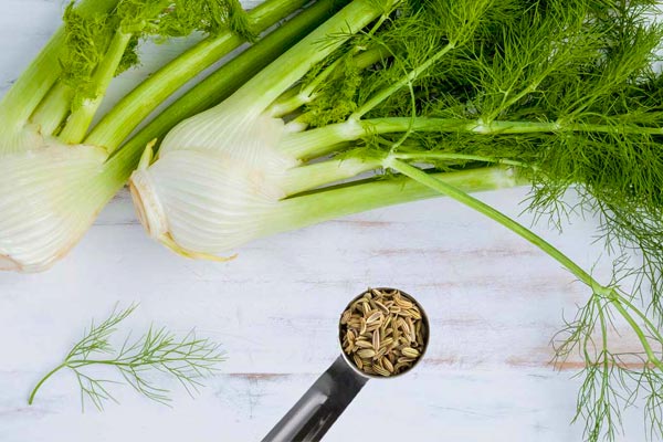 fennel-tea-for-obesity.jpg