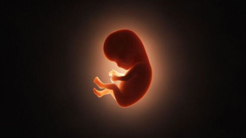 سقط جنین.jpg