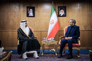 باقري كني مستقبلاً وزير خارجية الإمارات: سياسات إيران ثابتة وسنواصل التعاون الإقليمي