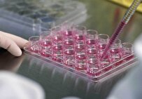 تلبية احتياجات المختبرات من الخلايا ومجموعة التشخيص الجزيئي المصنوعة محلياً