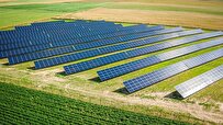 بحث-إدخال-محولات-طاقة-شمسية-بقدرة-واحد-ميجاوات-للسوق-المحلي