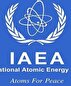 الوكالة الدولية للطاقة الذرية.. والظلال الكثيفة للهيمنة الأمريكية