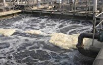 خبراء في ايران يستخلصون دهن الصوف من مياه مصانع غسيل الصوف