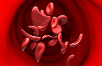 علماء كامبريدج ينجحون في إنتاج خلايا دم بشرية داخل المختبر