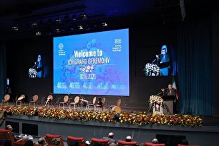 إيران والسعودية تتفقان على توسيع الاستثمارات المشتركة في قطاع الصحة