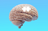 اكتشاف جديد قد يساعد مرضى ألزهايمر على استرجاع ذكريات أحبائهم