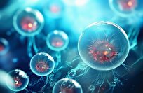 استراتيجية جديدة تعِدُ بتجديد خلايا الدم ومكافحة الشيخوخة جذرياً