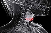 ابتكار روسي جديد بمركّبات نحاسية يفتح آفاقاً لعلاج أكثر أماناً لسرطان الحنجرة