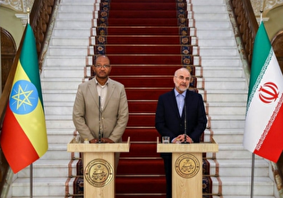 قاليباف: تطوير العلاقات مع دول القرن الأفريقي أولوية لإيران