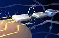 من المختبر إلى الروبوتات: خلية إلكترونية جديدة تفتح آفاقاً في الذكاء الاصطناعي