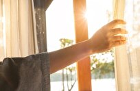 دراسة: ضوء النهار يعزز مناعة الجسم عبر 