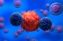 علاج تجريبي بخلايا CAR T يحقق نتائج واعدة ضد أكثر أنواع سرطان الدماغ شراسة