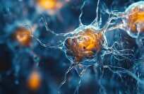 اكتشاف مبكر لألزهايمر... إشارات دماغية تكشف الخطر قبل ظهوره!