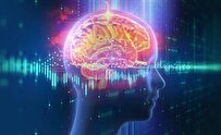 Study Suggests Spins of 'Brain Water' Could Mean Mind Uses Quantum Computation