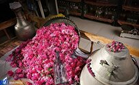 Iranian Startup Uses Plasma Technology in Smart Rose Water Purification Device