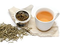 Iranian Academic Improves Antioxidant Extraction from White Tea