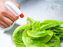 Spray to kill harmful bacteria on food