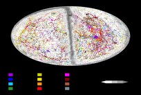 Astronomers Map Distances to 56,000 Galaxies, Largest-Ever Catalog