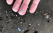 Microplastics Deposited on Seafloor Triple in 20 Years