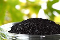Production of Nitro-Humic Compounds from Coal Residues by Iranian Researchers