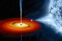 Machine Learning Reveals How Black Holes Grow