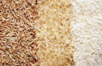 Iran-Made Machine Sorts Rice, Almonds Based on Image Processing