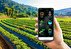 Iran-Made System Facilitates Monitoring Agricultural Lands Based on IoT