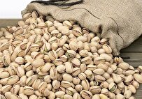 Iran Exports $137 Million of Pistachios in 1st Half of Current Year