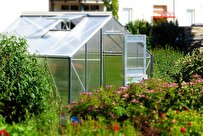 Smart Monitoring of Greenhouses with Mobile Phones