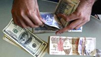 Pakistani Central Bank's Forex Reserves Rise by 4 Million Dollars
