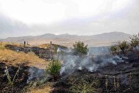 Iranian Researchers Offer New Method to Revive Fire-Hit Pastures